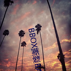 BBOX撕(sī)裂BASS俄罗斯