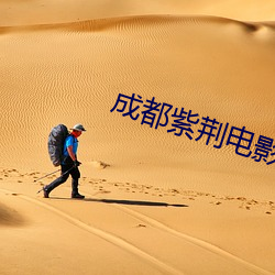 成都(都)紫荆(荊)电(電)影院