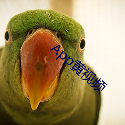 App黄视频 （万国）
