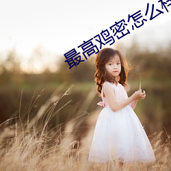 最高鸡密怎么样