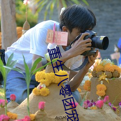 重生八零团宠小神医