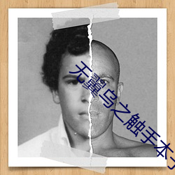 无翼乌之触手本子库全彩