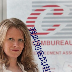 我叫刘金凤电视剧免费观看