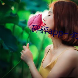 砰砰app一对一