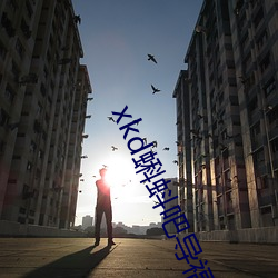 xkd蝌蚪吧导福航ios