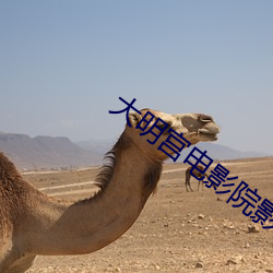 米乐M6·(中国)官方网站