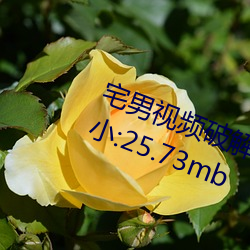 宅男视(視)频破(破)解版 v5.3.6 免登录版(版)大小(小):25.73mb