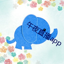 午夜直播app