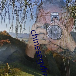 chinesegvfreeboys （更待乾罢）