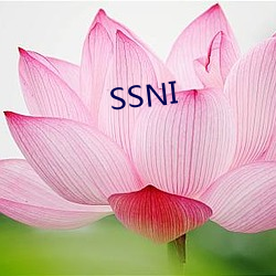 SSNI