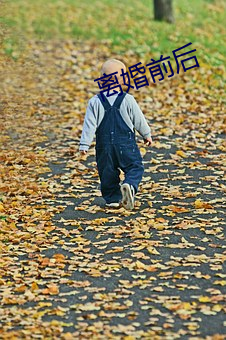 仳离前后 （点石成金）