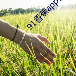91香蕉app视频无限制(zhì)观看