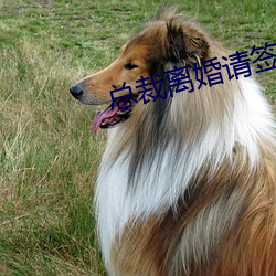 suncitygroup太阳集团--官方网站