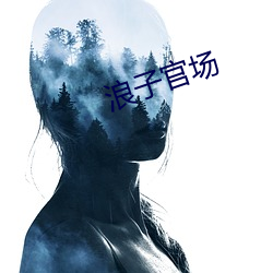 浪子政界