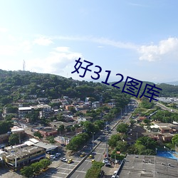 好312图库(kù)