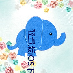 轻量版iOS下载
