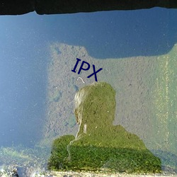 IPX