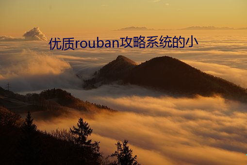 优质rouban攻略系统的小