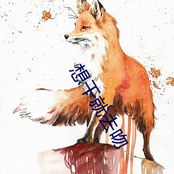 想干就去吻
