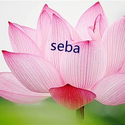 seba