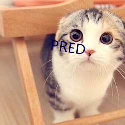 PRED （航空母舰）