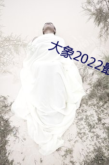 大象2022最新永久地域網名