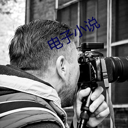 电子小说