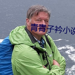 青青子衿小说
