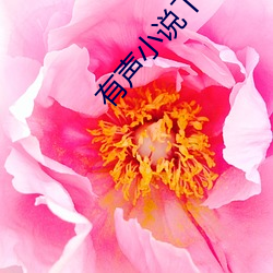 有聲小說下載