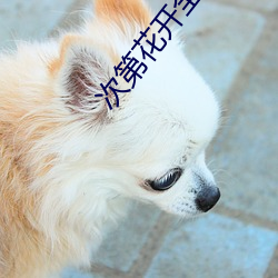 918博天堂·(中国)手机版客户端