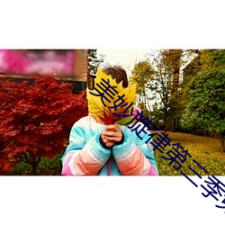 美妙旋律第三季免费观看全
