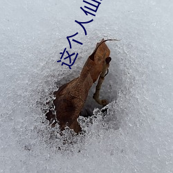 金年会(中国)官方网站