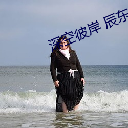 深空彼岸 辰东