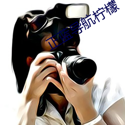 正蓝导航柠檬