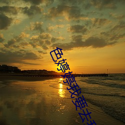 色婷婷我要去我去也 （淡饭黄齑）