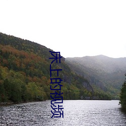 床上的視頻