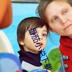 番茄小说下载