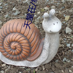 AG真人平台(中国)官方网站