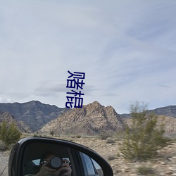 赌棍 ��若涉渊冰）