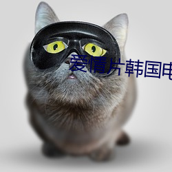 爱(ài)情片韩国电视剧