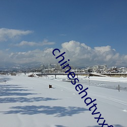 chinesehdtvxxfree