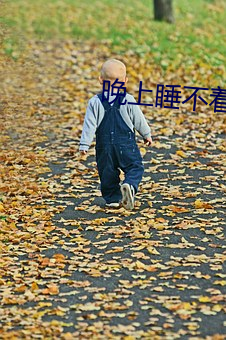 晚上睡(shu)不着的软件(jin)