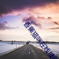香蕉貓咪在線播放