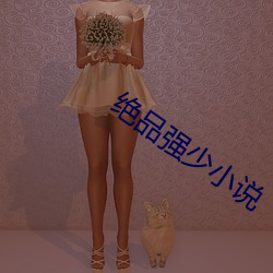 绝品强少小说