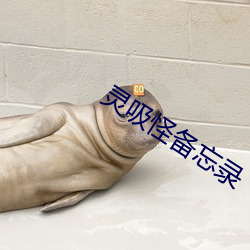 灵吸怪备忘录 河鲜）