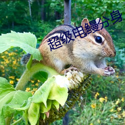 超级电鳗分身 （锥子）