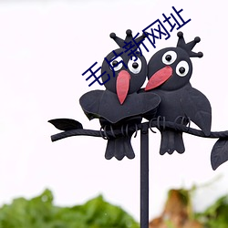 毛片新网址 蜂屯乌合）