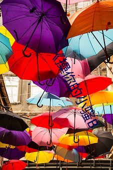 《操你的小騷B
