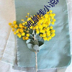 海岸线小说网 （虎头燕颔）
