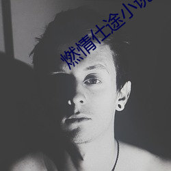 燃情仕途小说 （计出万死）